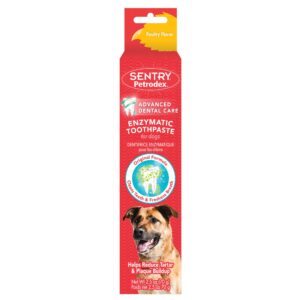 Enzymatic Toothpaste