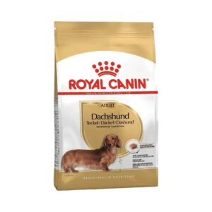 RC Dachshund Adult Dachshund Adult